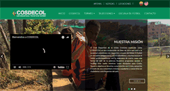 Desktop Screenshot of cosdecol.com